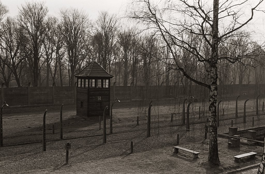 Auschwitz, Jan 2020
